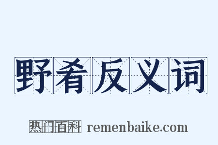 野肴反义词是什么意思的图片